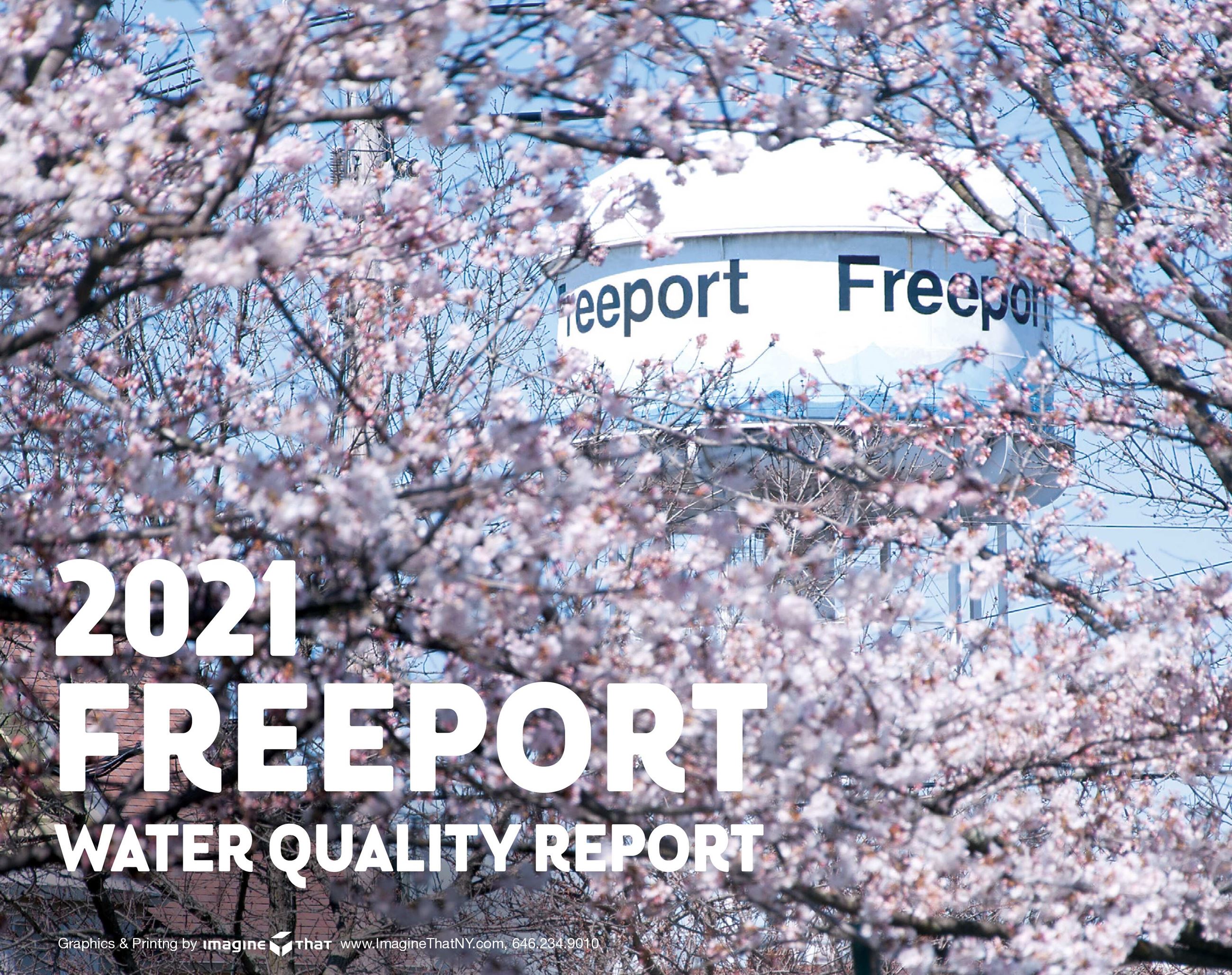 freeport_water_single_pages_2021-0